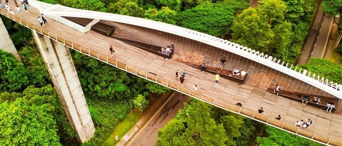 シンガポール滞在延長ガイド